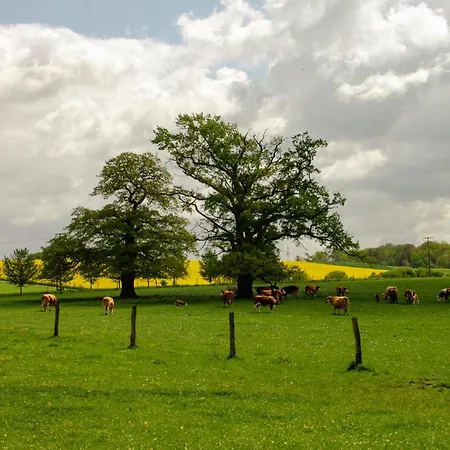 Gutshaus Gevezin * Blankenhof
